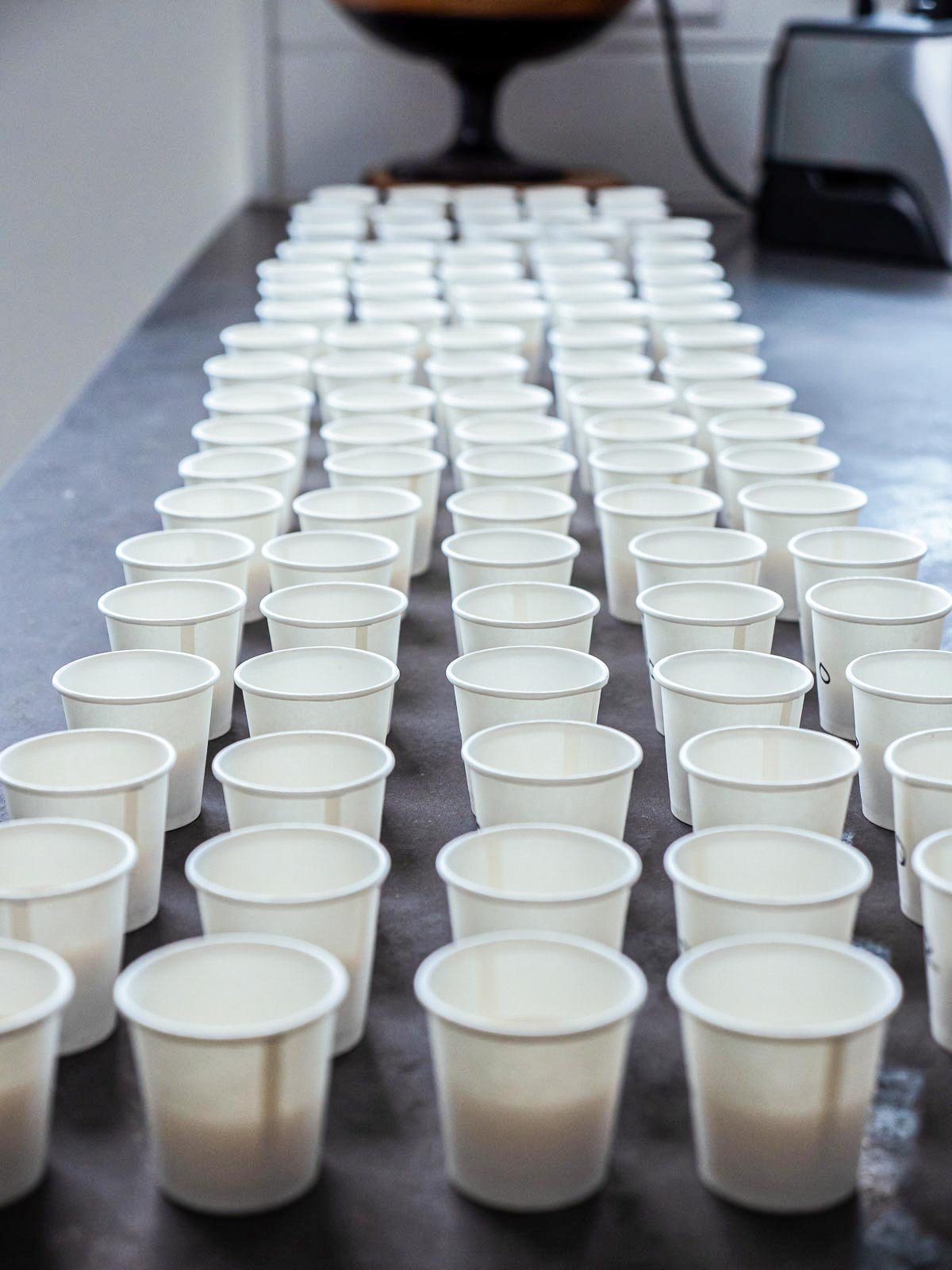 Counter full of tiny white cups filled with various brands of almond milk.